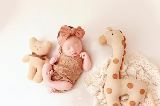 随州宝宝虾的做法